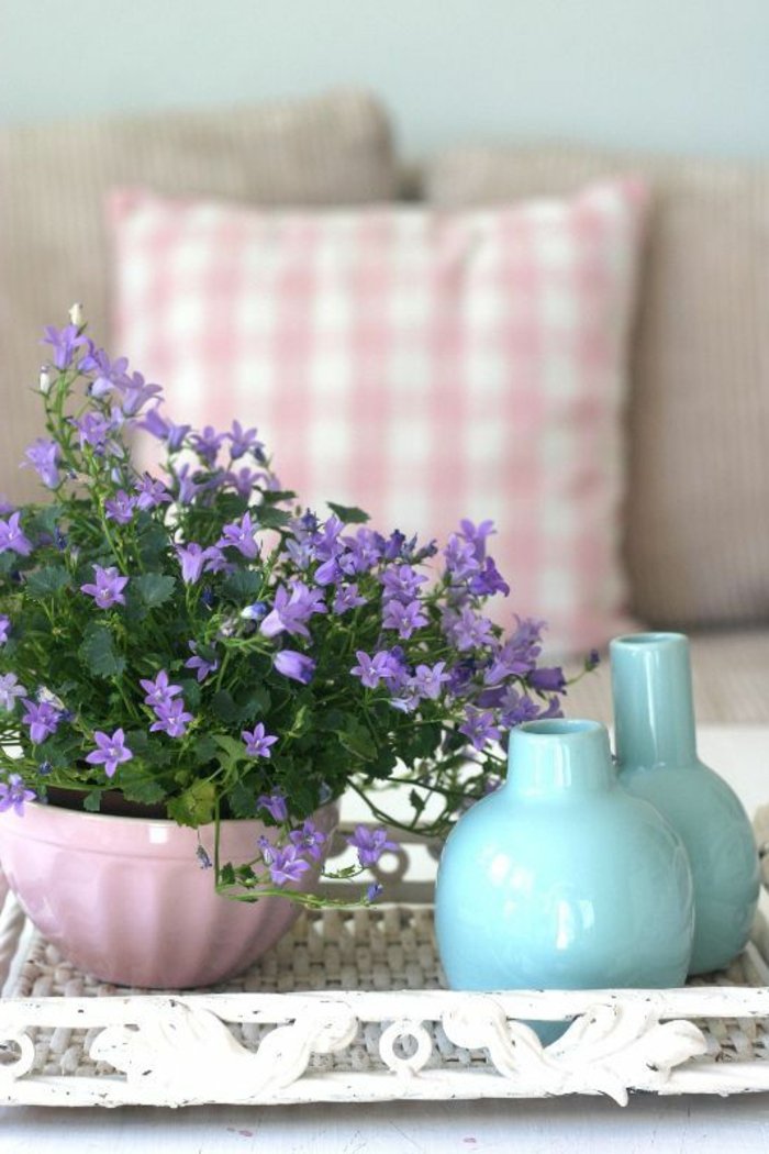 blühende-Zimmerpflanzen-für-zu-Hause-lila-Blüten