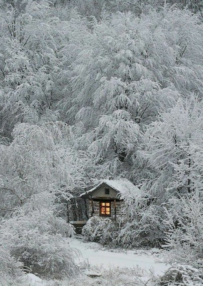 kleines-gemütliches-Häuschen-unter-den-Bäumen-bedeckt-mit-Schnee-romantisches-Winterbild