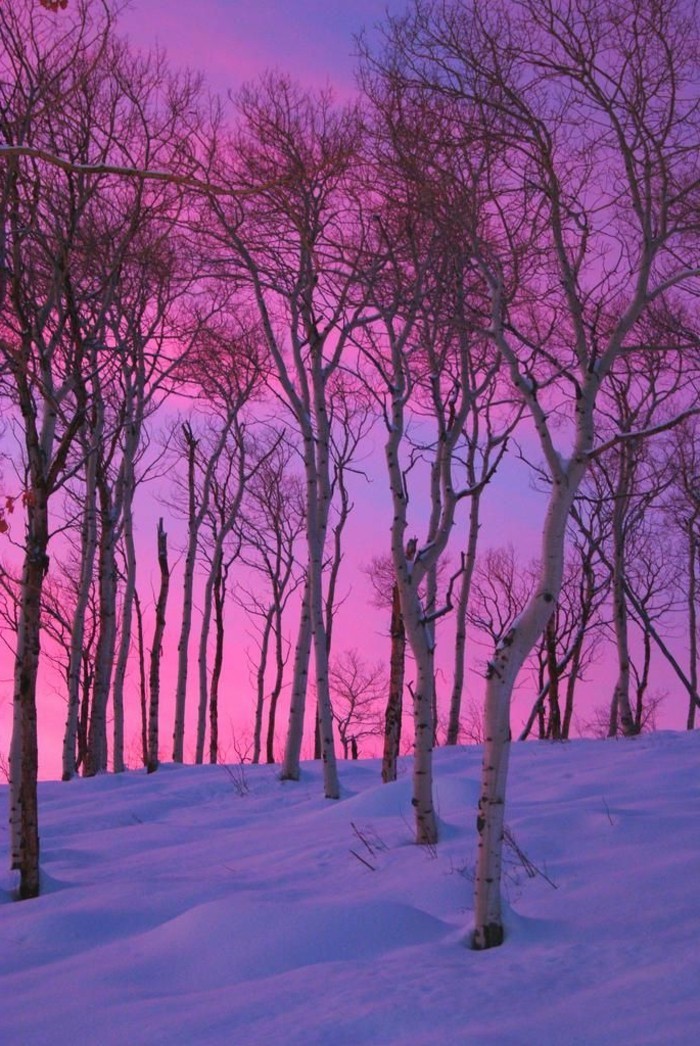 malerische-Fotografien-mit-Wintermotiven-schöne-Winterbilder-Sonnenuntergang
