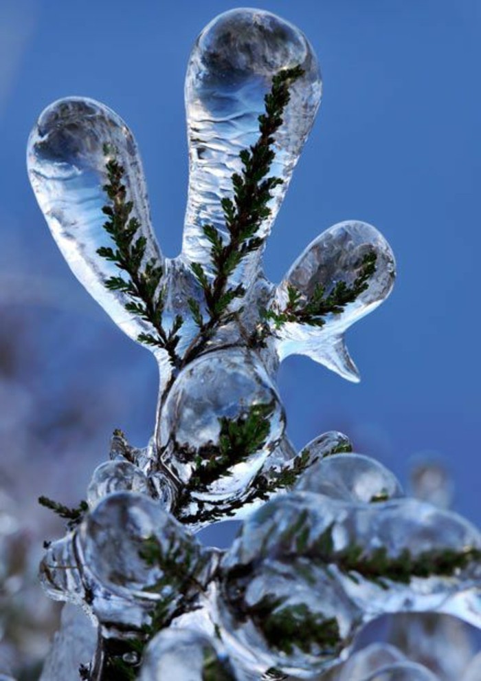 malerische-Fotografien-mit-Wintermotiven-schönes-Winterbild-Eis-gefrorene-Zweige