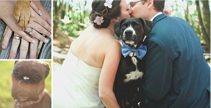 romantische-Hochzeitsfotografie-wir-und-der-Hund
