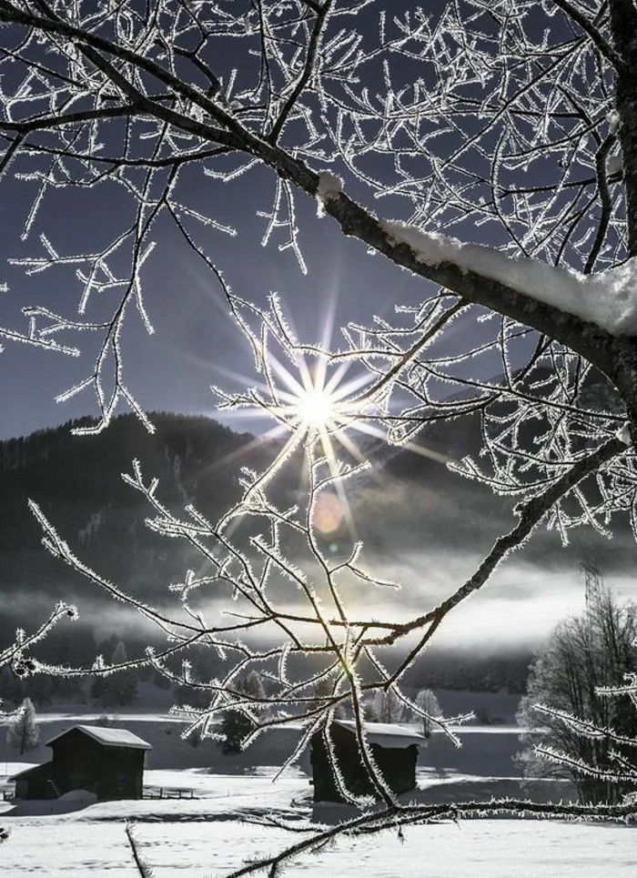 romantisches-Winterbild-gefrorene-Äste-Schnee
