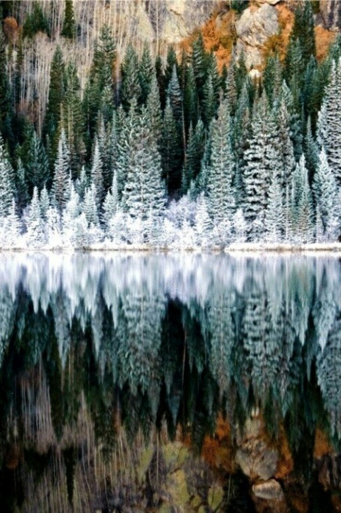 schöne-Winterbilder-Rocky-Mountain-National-Park-Colorado-USA