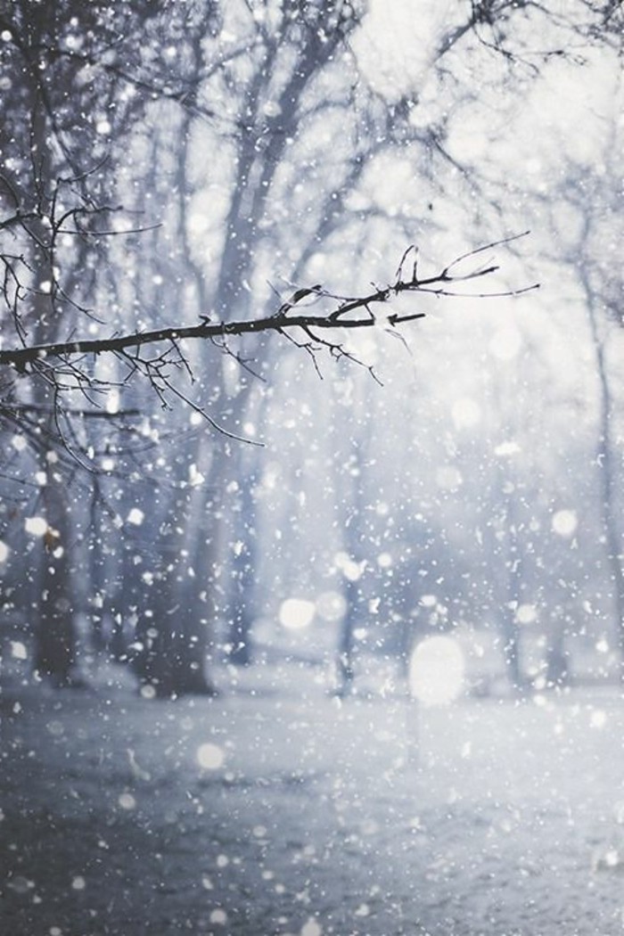 schöne-Winterbilder-sympatische-Schneeflocken-romantisches-Bild