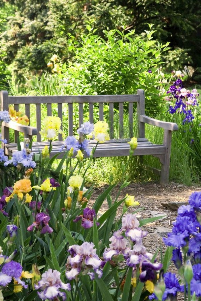 Garten-mit-lila-Blumen-und-schlichter-hölzernen-Bank