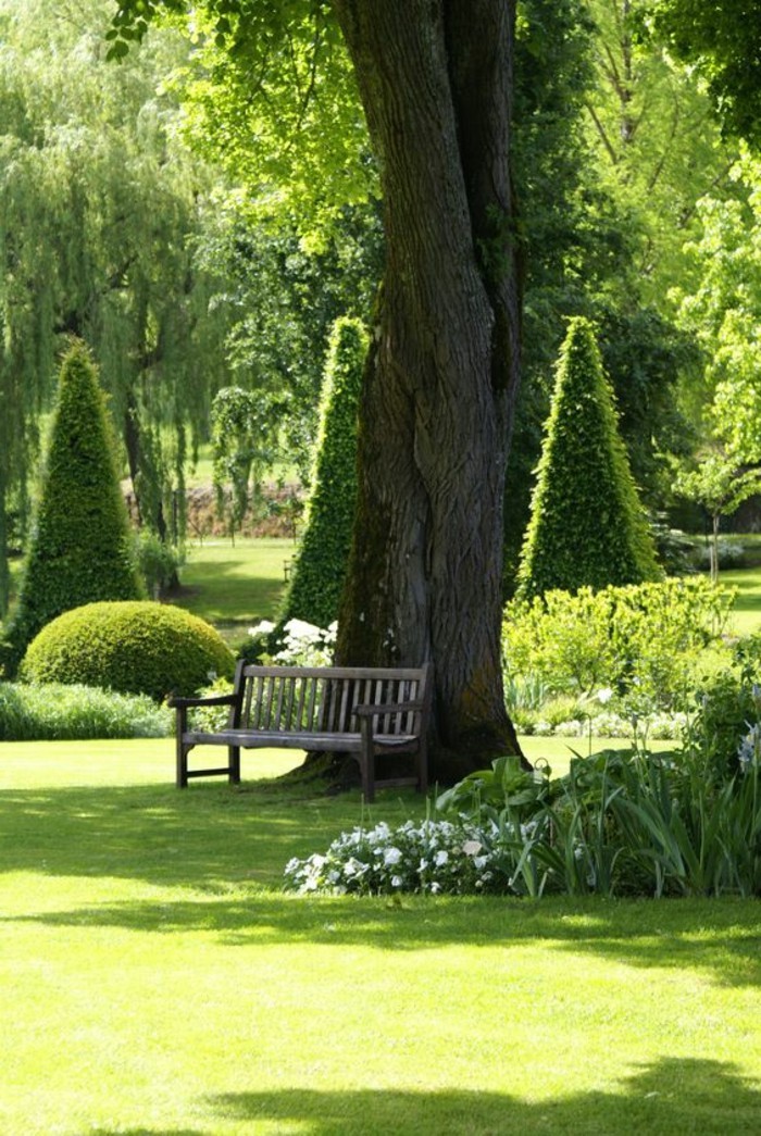 fantastischer-grüner-Garten-einsame-Gartenbank-unter-dem-Baum