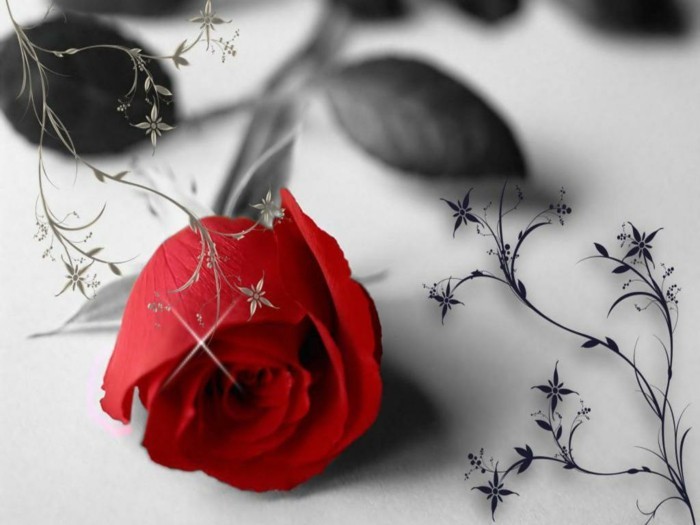 kostenlose-bilder-valentinstag-romantische-rote-rosen
