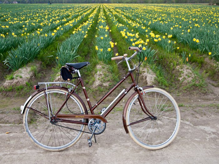 retro-Fahrrad-in-brauner-Farbe