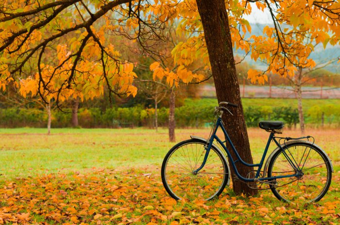 retro-Fahrrad-unter-den-Herbstblättern