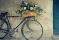 Das vintage Fahrrad und sein romantischer Reiz