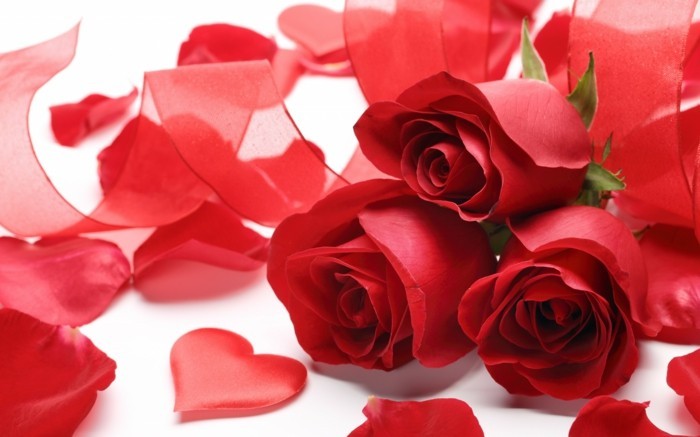 valentinstag-bilder-unikaler-blumenstrauß-von-roten-rosen