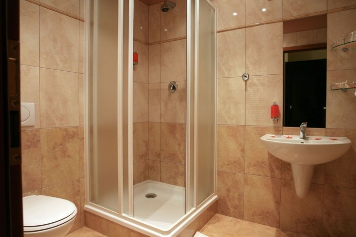 walk-in-dusche-aus-glas-interessante-interieur-ideen-fürs-bad