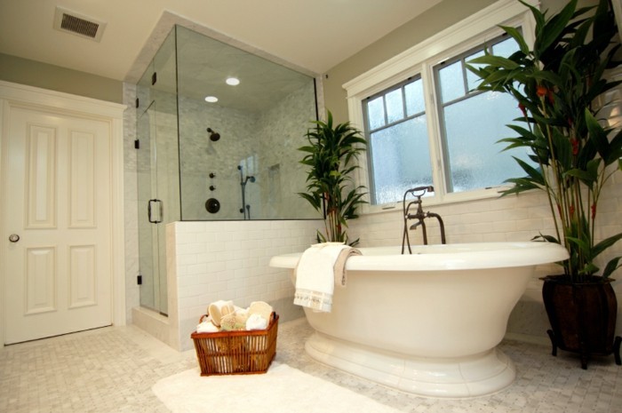 walk-in-dusche-aus-glas-neben-einer-modernen-weißen-badewanne
