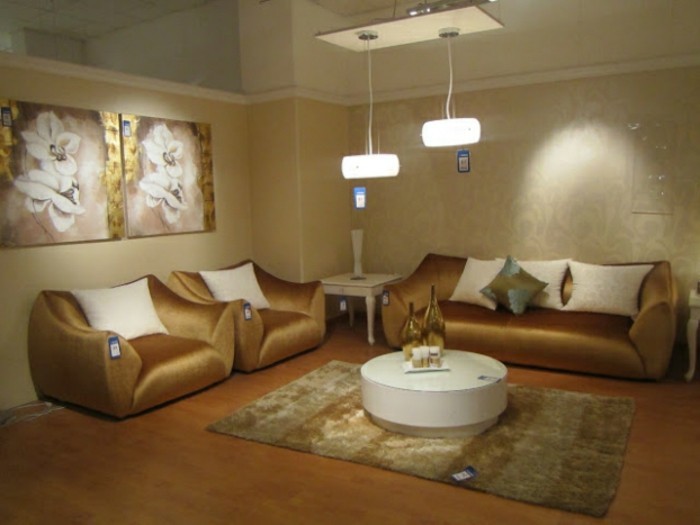 zwei-schöne-bilder-elegantes-sofa-in-braunen-farbschemen