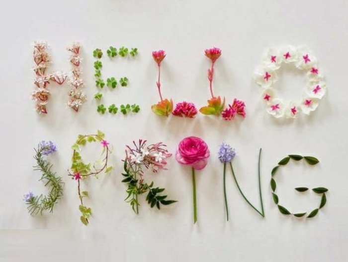 1-frische-Frühlingsbilder-Hello-Spring-geschrieben-mit-Blumen