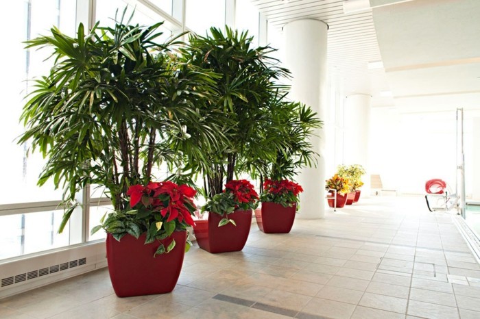 ausgefallene-zimmerpflanzen-in-großen-roten-Blumentöpfen-gestellt