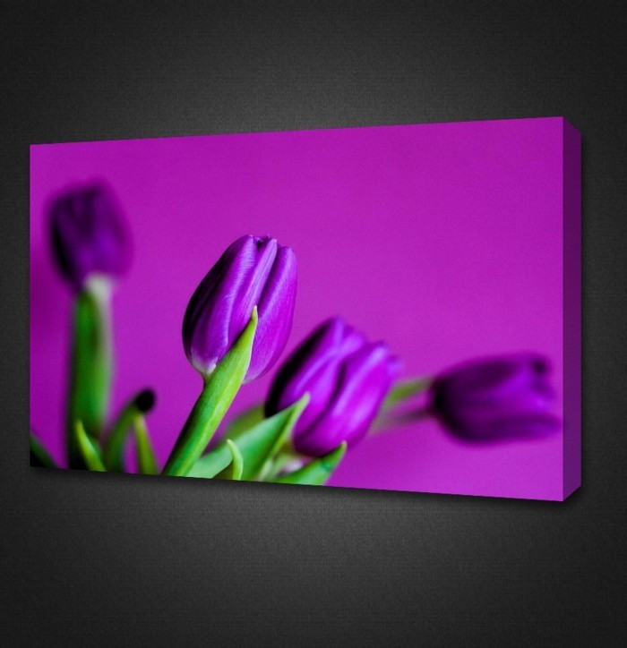 coole-Idee-für-Leinwandbild-lila-Tulpen