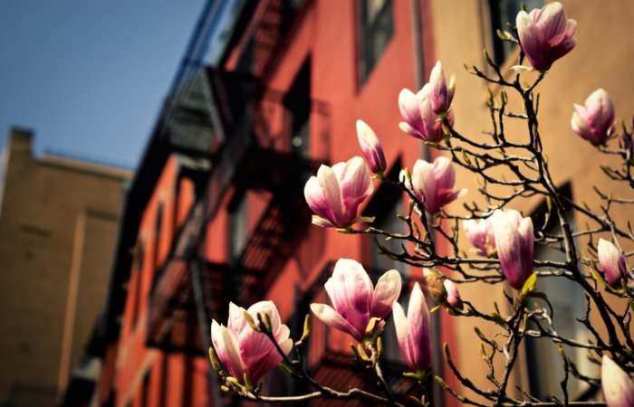 die-Stadt-wacht-auf-Frühlingsanfang-Bilder