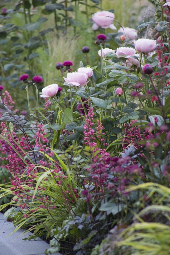 englischer-Garten-voll-mit-fantastischen-Frühlingsblumen