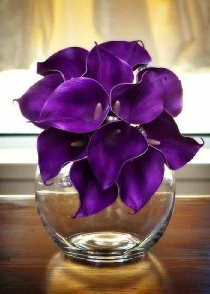 lila-Blume-in-rundförmiger-Vase