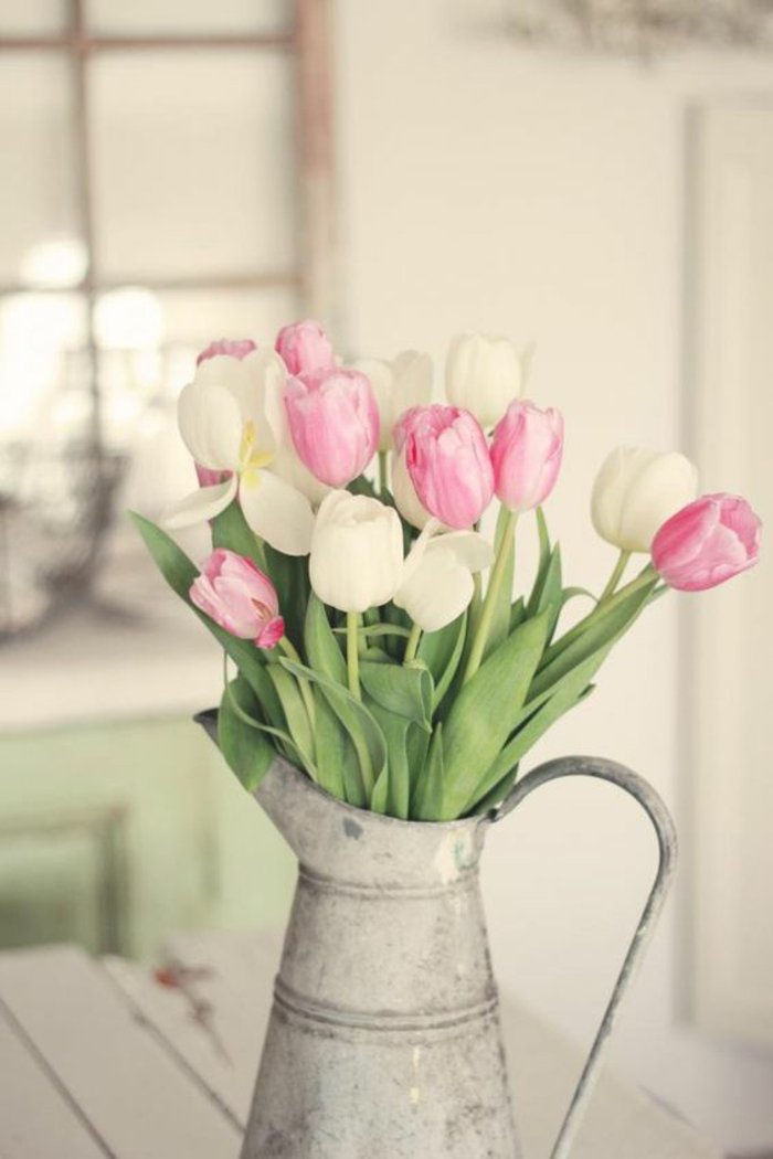 schöne-weiße-und-rosa-Tulpen