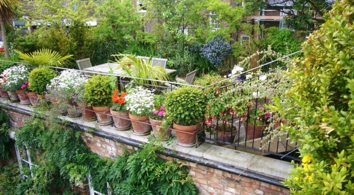 viele-schöne-grüne-pflanzen-gartenideen-für-kleine-gärten-effektvolles-design