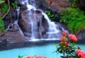 Wasserfall Bilder – 40 faszinierende Vorschläge!