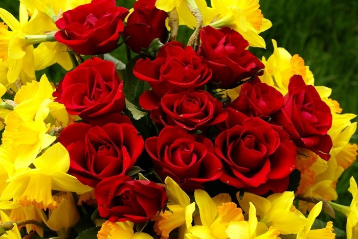 Blumensträuße-Bilder-Narzissen-und-Rosen