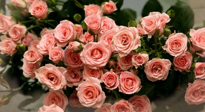 Blumensträuße-Bilder-mit-rosa-Rosen