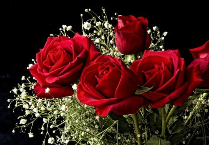 Blumensträuße-Bilder-rote-Rosen-mit-winzigen-weißeх-Blumen