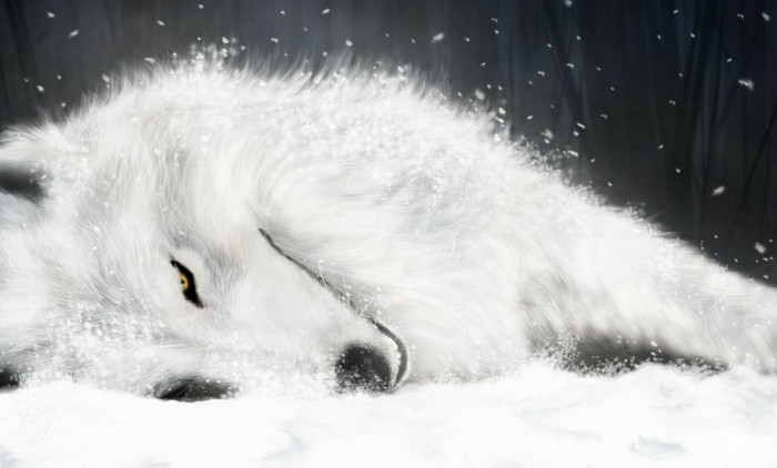 Coole-Anime-Bilder-ein-weißer-Wolf