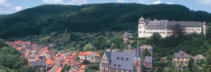Ferienhäuser-im-Harz-ein-Überblick
