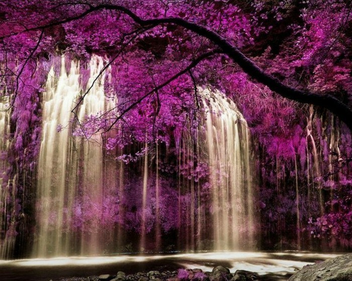 Hintergrundbilder-Wasserfall-mit-lila-Pflanzen