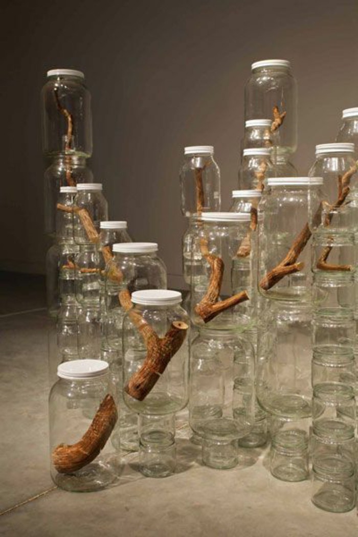 Museum-für-Zeitgenössische-Kunst-ein-Baum-in-Gläsern
