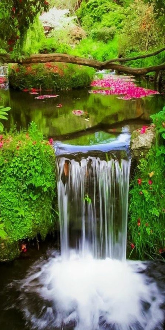 Wasserfall-Fotos-mit-Blühten-schwimmen