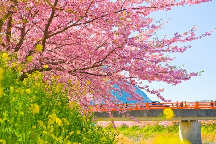 Beste-Reisezeit-Japan-über-die-Brücke