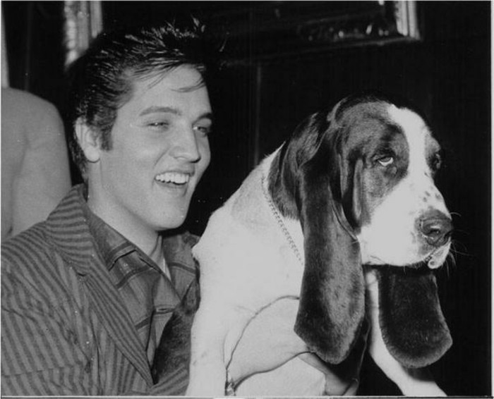 Elvis-Presley-mit-seinem-Basset-1957-exotische-2Haustiere