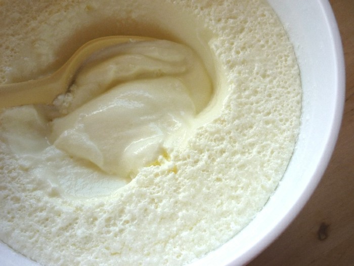 Herstellung-von-Joghurt-aus-Milch