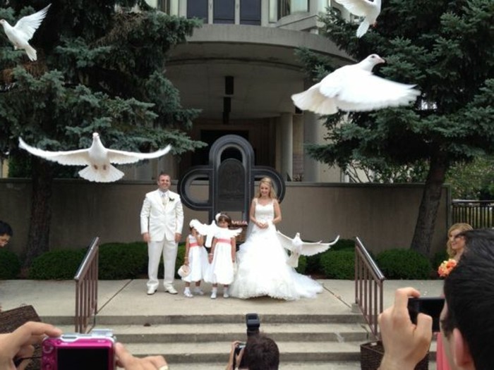 Hochzeit-Tauben-die-kleinen-Mädchen-freuen-sich