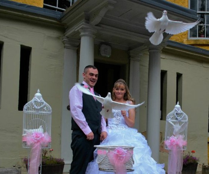 Hochzeit-Tauben-mit-rosa-Bänden