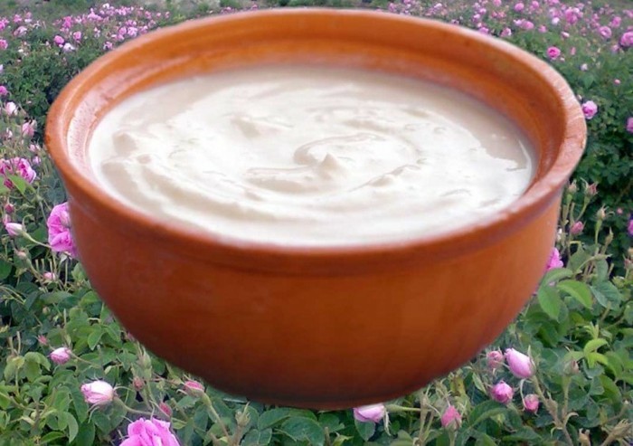 Joghurt-Bakterien-und-bulgarische-Rose