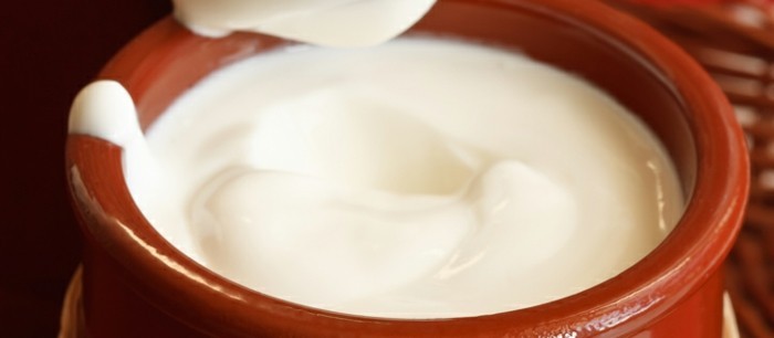 Joghurtkultur-kommt-ursprünglich-aus-Bulgarien