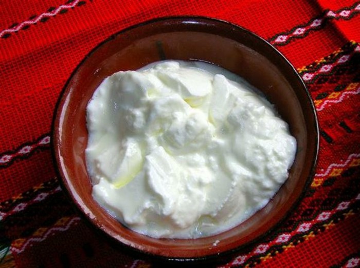 Joghurtkultur-selbst-gemachte-zu-Hause