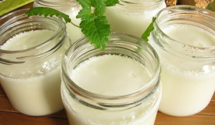 Joghurtkultur-wird-in-Gläser-vorbereitet