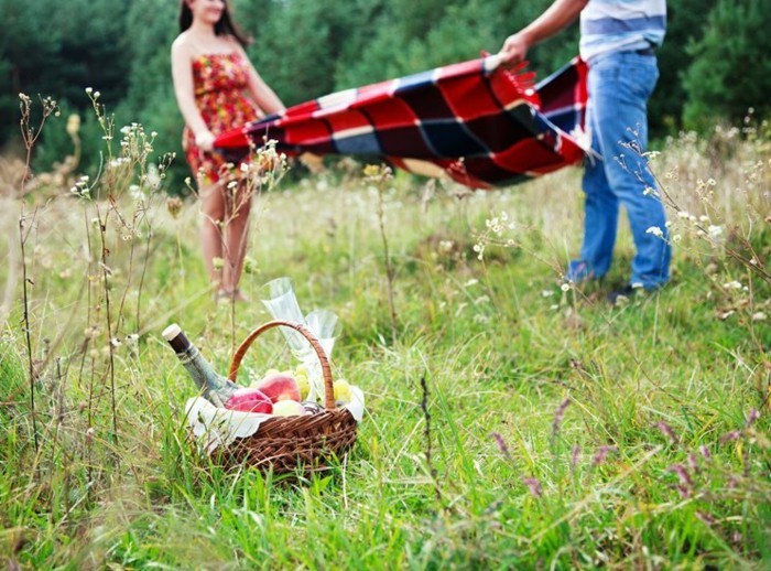 Picknick-im-Grünen-auf-karrierter-Decke