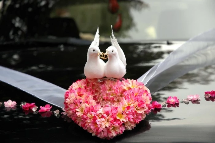 Tauben-zur-Hochzeit-auf-ein-Herzen