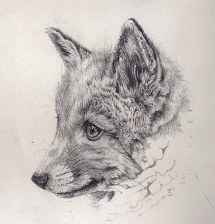 Featured image of post Wolf Tiere Zeichnen Mit Bleistift Einfach - Wir erkennen entweder, was in unserem eigenen kopf vorgeht, und versuchen, uns zu beruhigen, oder wir schäumen vor wut, schreien laut oder schleudern sogar den controller durch den raum.