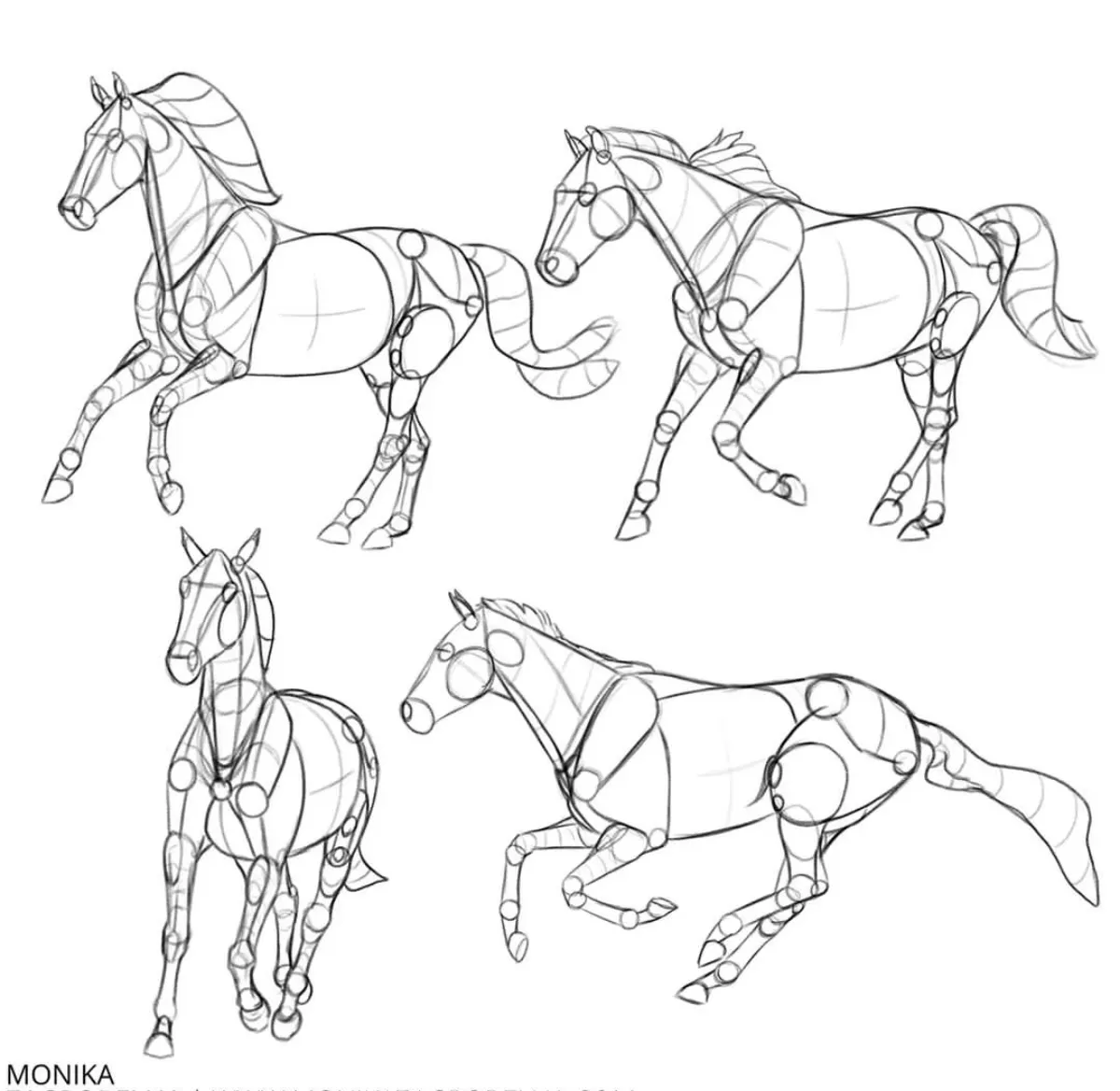 pferd zeichnen mit bleistift anleitung