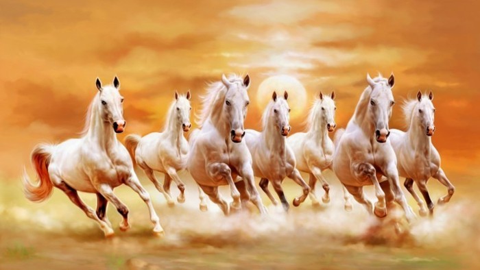 schöne-pferde-bilder-unglaublich-coole-tiere-in-weiß-orange-hintergrund