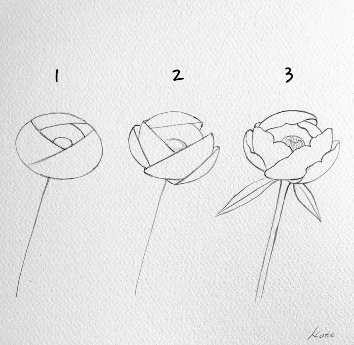 wie rose zeichnen mit bleistift drei schritte